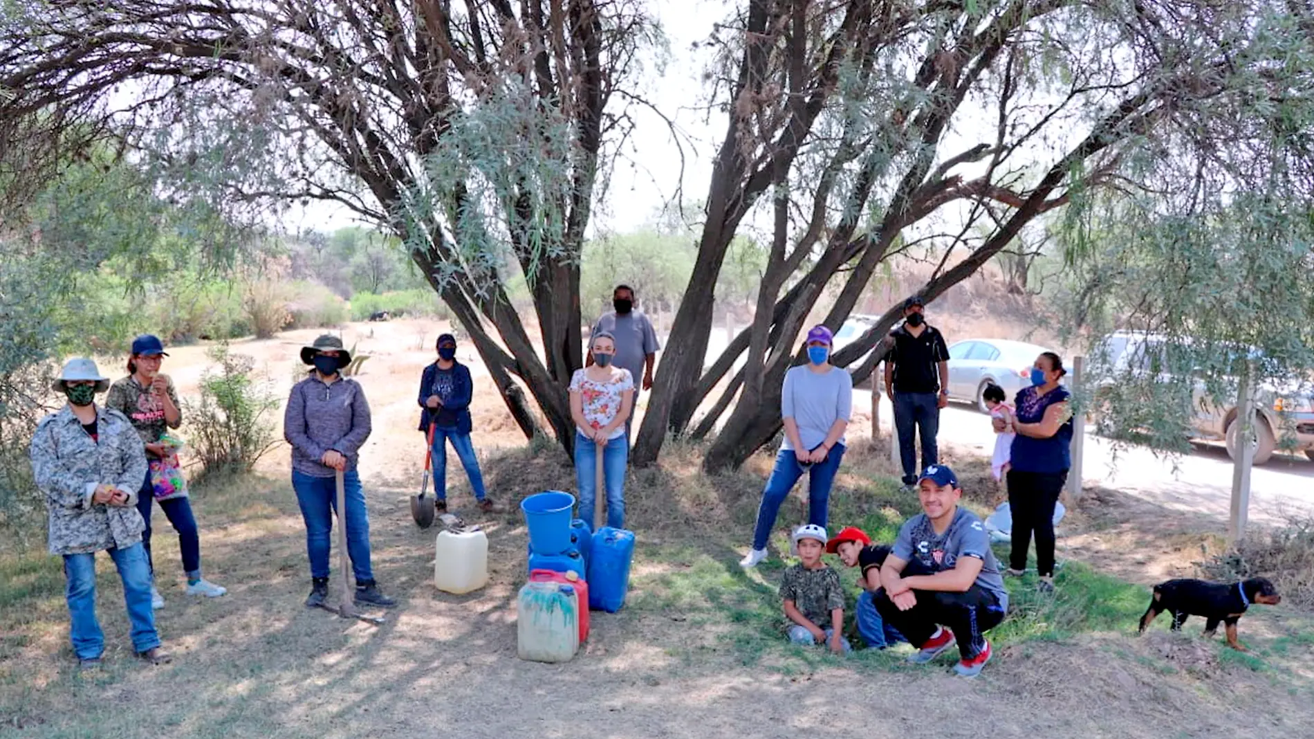 Reforestacion del Bosque de Cobos